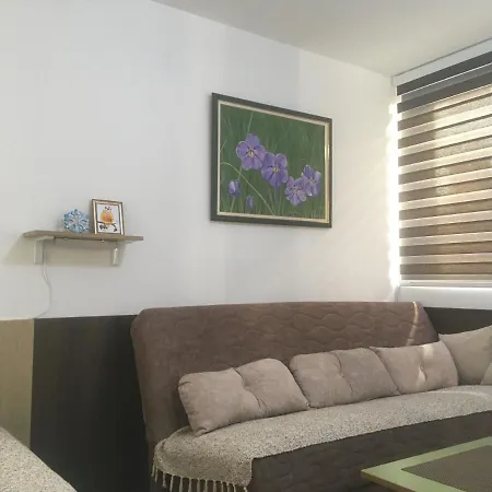 Ramonda Apartment *